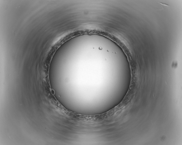 X0000093600823200710291142