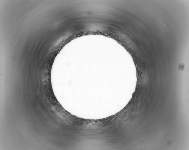 X0000093600824200710291142