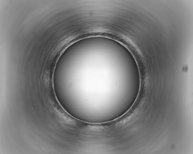 X0000093600825200710291142