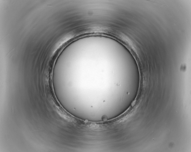 X0000093600827200710291142