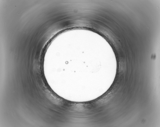 X0000093600828200710291142