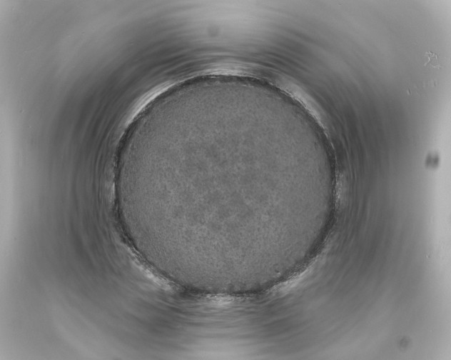 X0000093600829200710291142