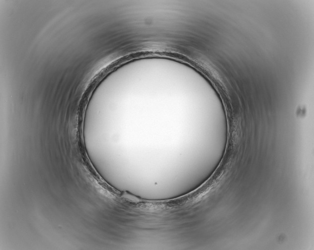 X0000093600831200710291142