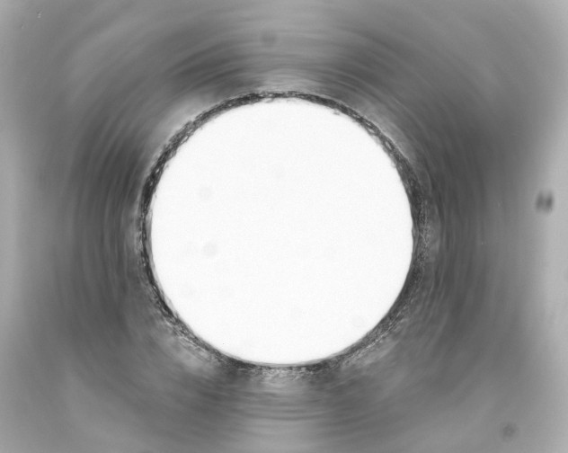 X0000093600832200710291142