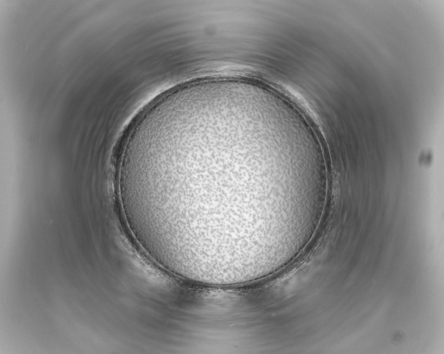 X0000093600835200710291142