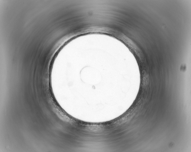 X0000093600836200710291142