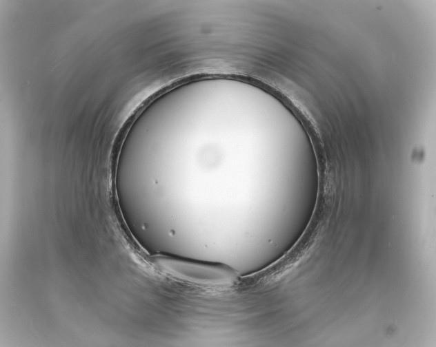 X0000093600837200710291142