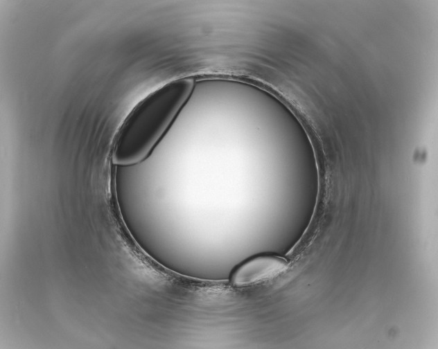 X0000093600838200710291142