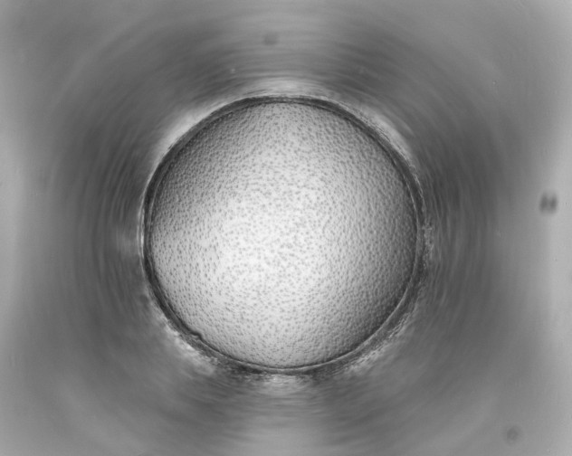 X0000093600839200710291142