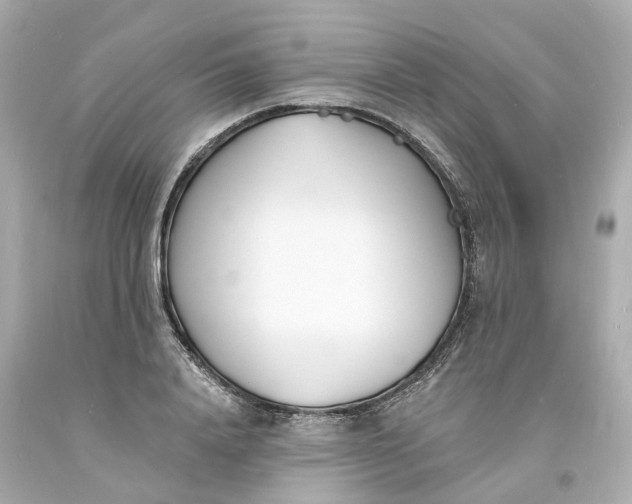 X0000093600840200710291142