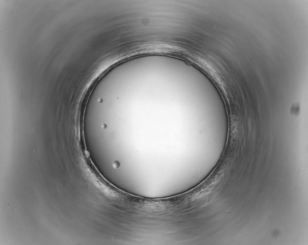 X0000093600843200710291142