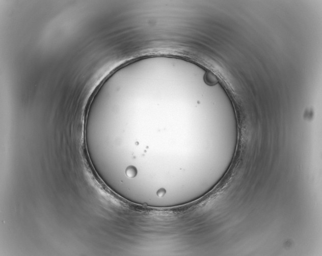 X0000093600844200710291142