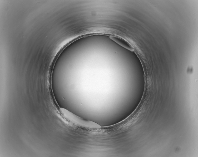 X0000093600846200710291142