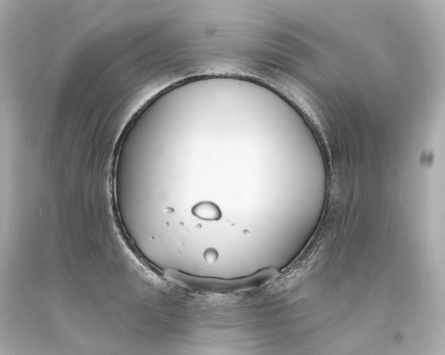 X0000093600847200710291142