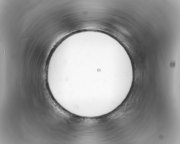 X0000093600848200710291142