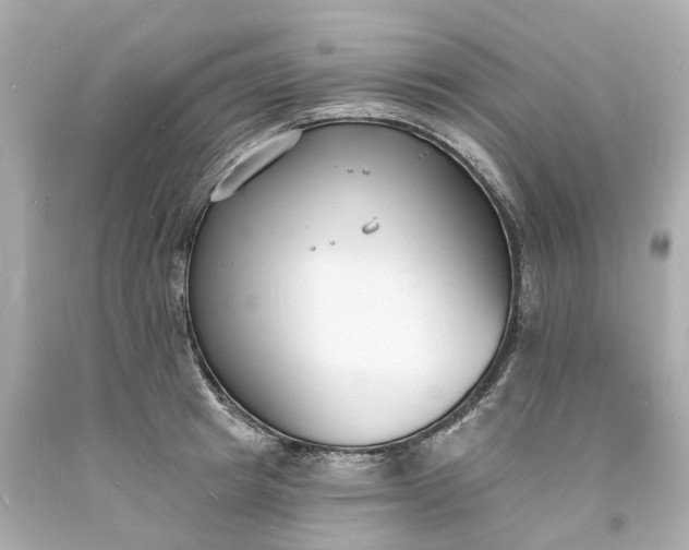 X0000093600849200710291142