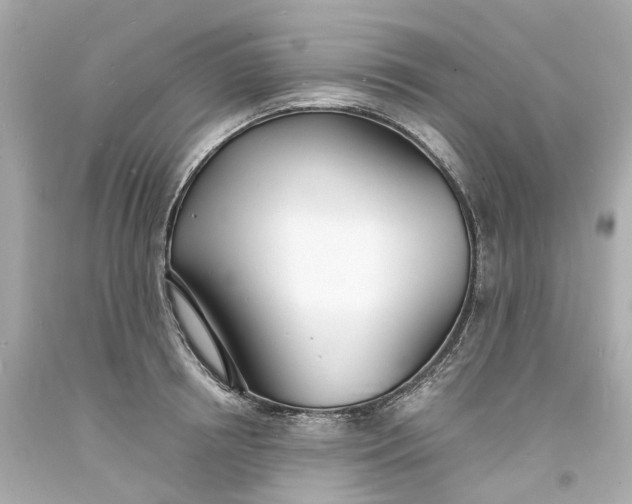 X0000093600850200710291142