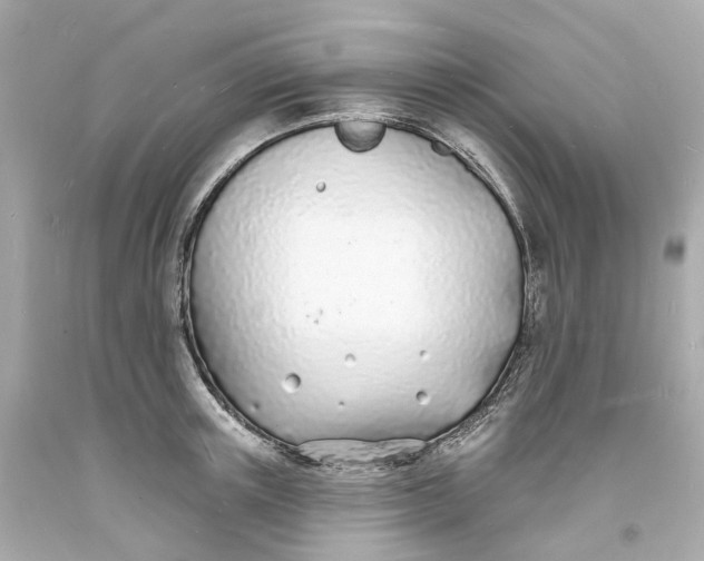 X0000093600851200710291142