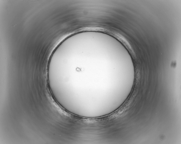 X0000093600852200710291142