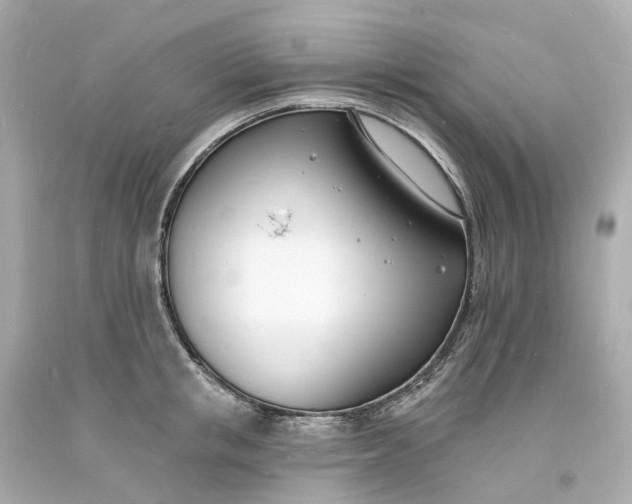 X0000093600853200710291142