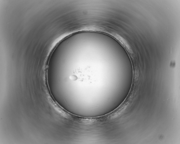 X0000093600854200710291142