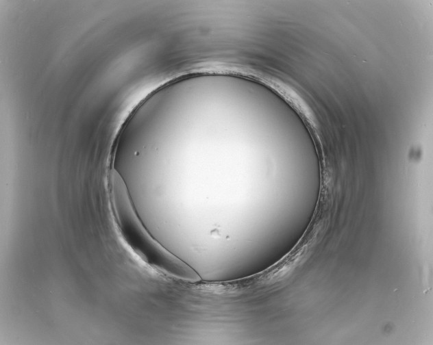 X0000093600855200710291142