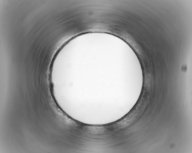 X0000093600856200710291142