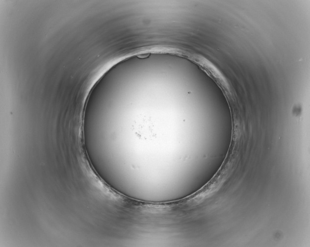 X0000093600860200710291142