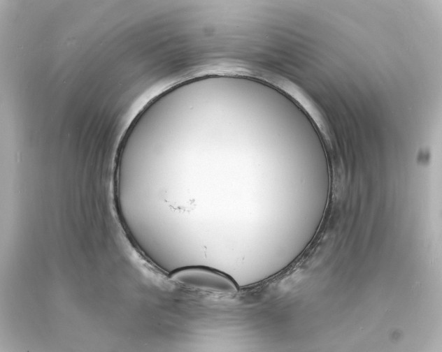 X0000093600861200710291142