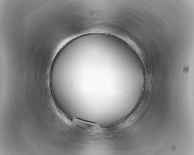 X0000093600862200710291142