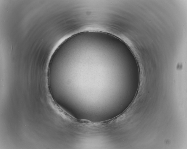 X0000093600864200710291142