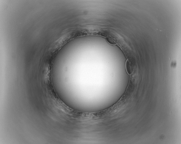 X0000093600866200710291142