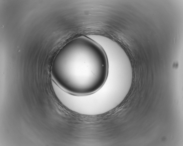 X0000093600868200710291142