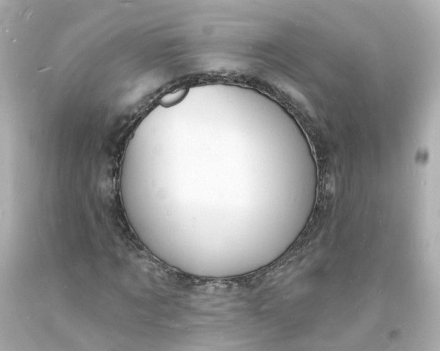 X0000093600869200710291142