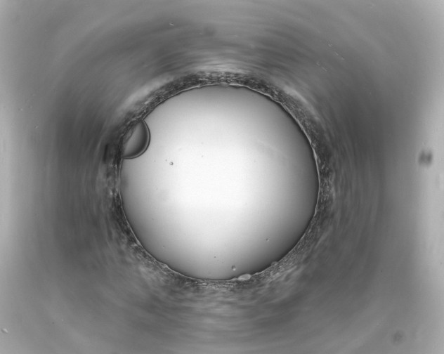 X0000093600870200710291142