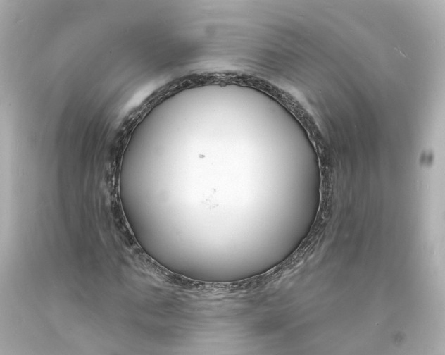 X0000093600871200710291142