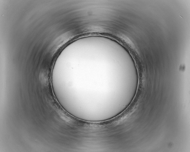 X0000093600873200710291142