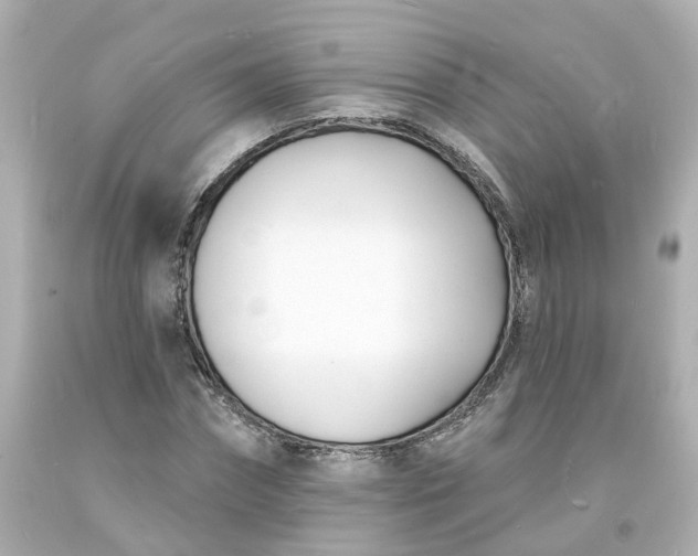 X0000093600874200710291142