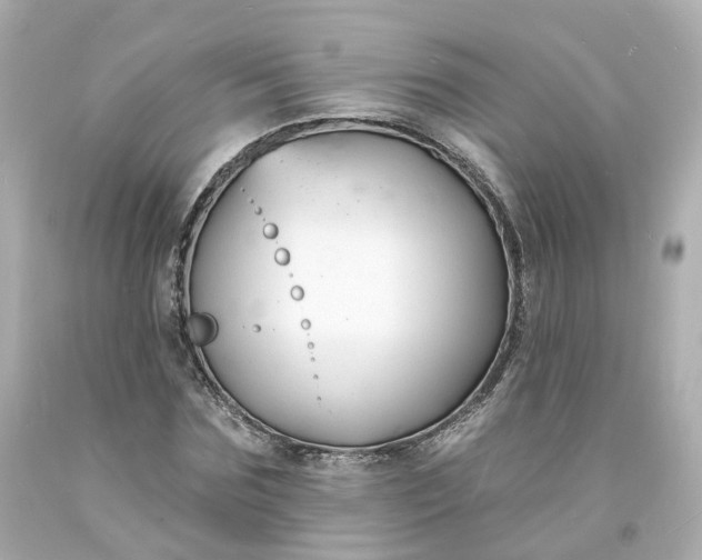 X0000093600875200710291142