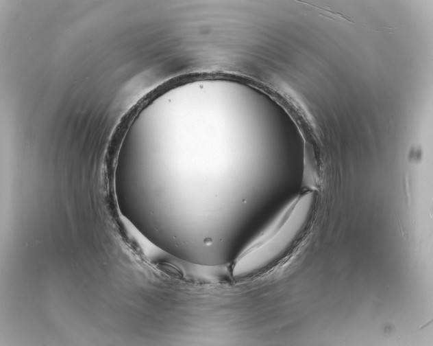 X0000093600876200710291142