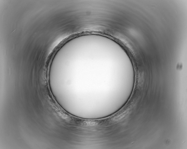 X0000093600878200710291142