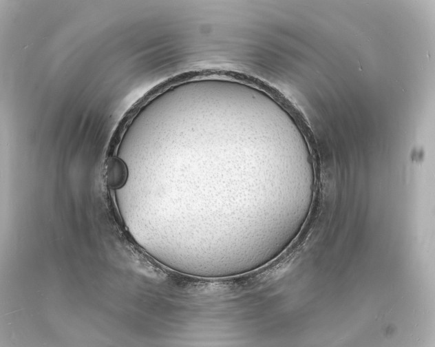 X0000093600879200710291142