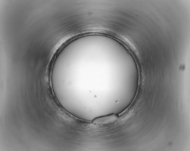 X0000093600883200710291142