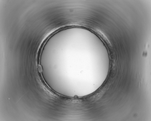 X0000093600884200710291142