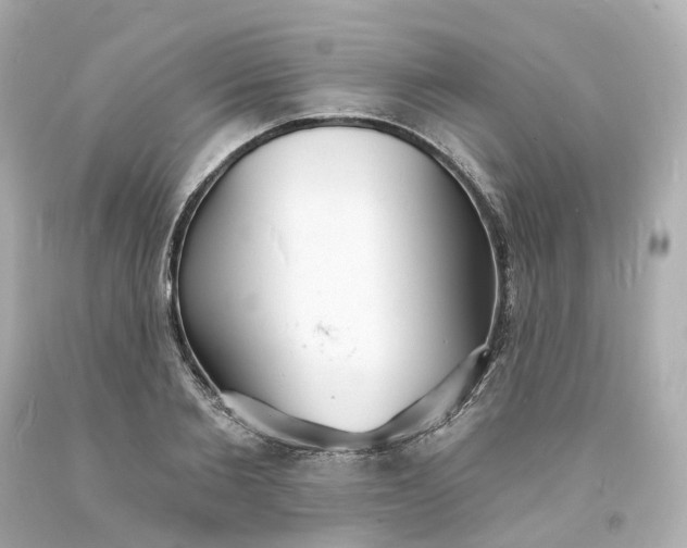 X0000093600885200710291142