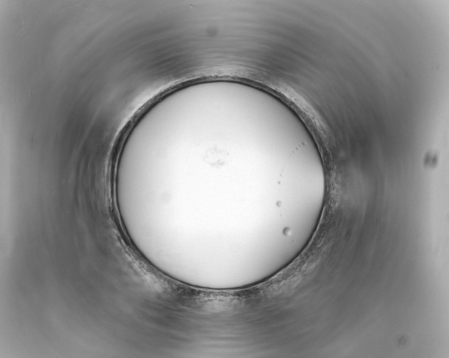 X0000093600886200710291142