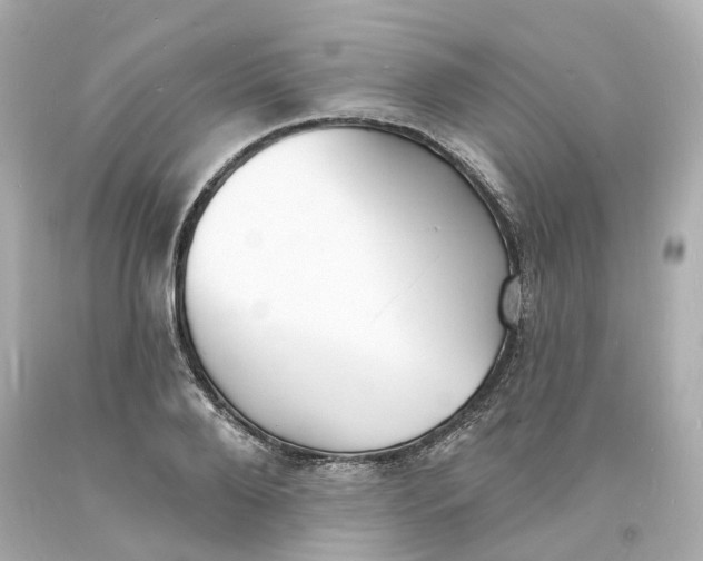 X0000093600888200710291142