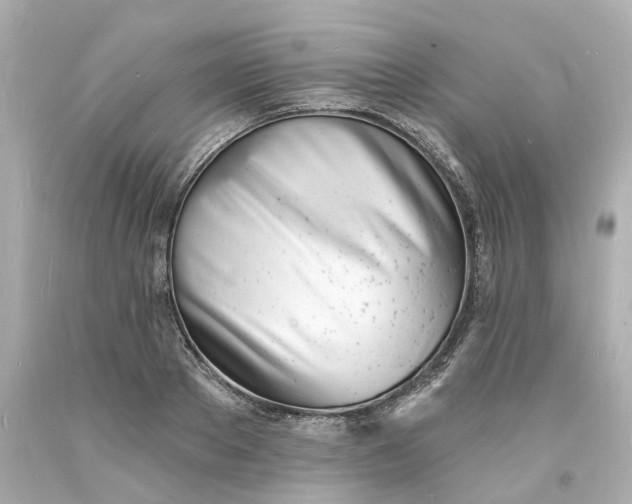 X0000093600889200710291142