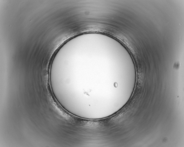 X0000093600890200710291142