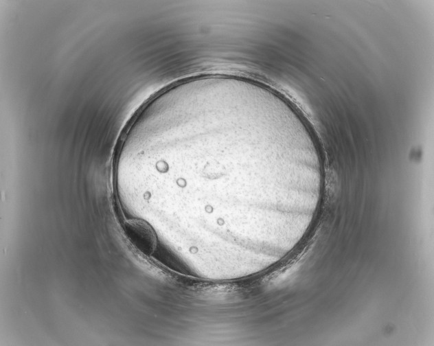 X0000093600891200710291142